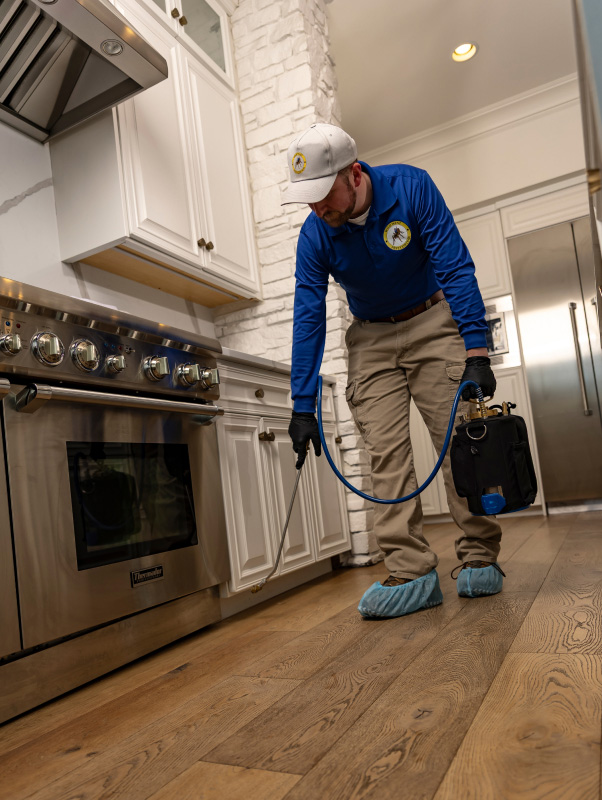 Avimor, ID Pest Control Services Wild West Pest Control