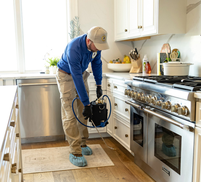 Boise_Trusted_Experts_Img