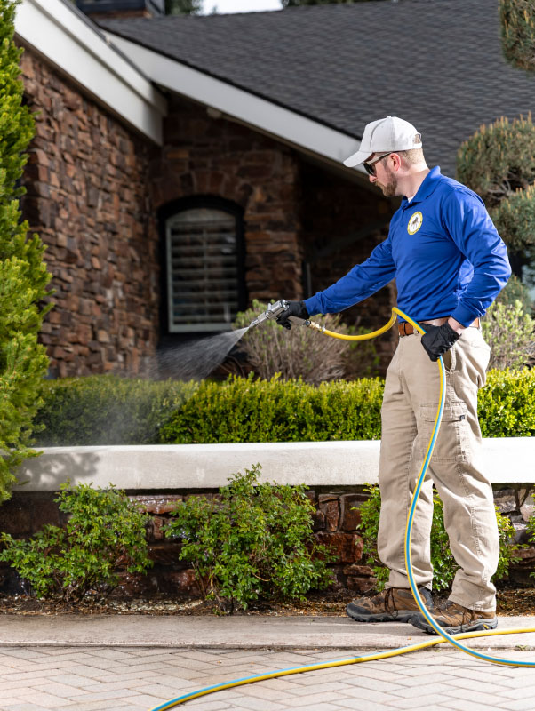 Nampa, ID Pest Control Services Wild West Pest Control