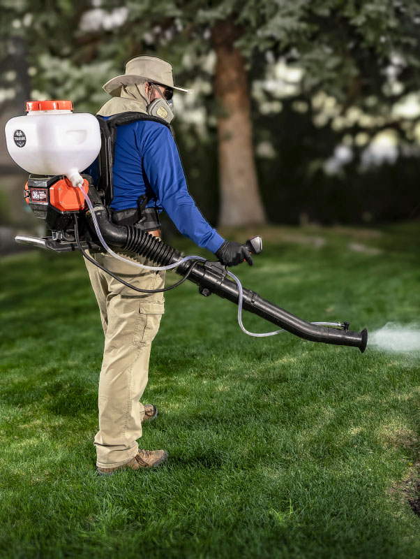 Protect Your Home From Box Elders Year-Round