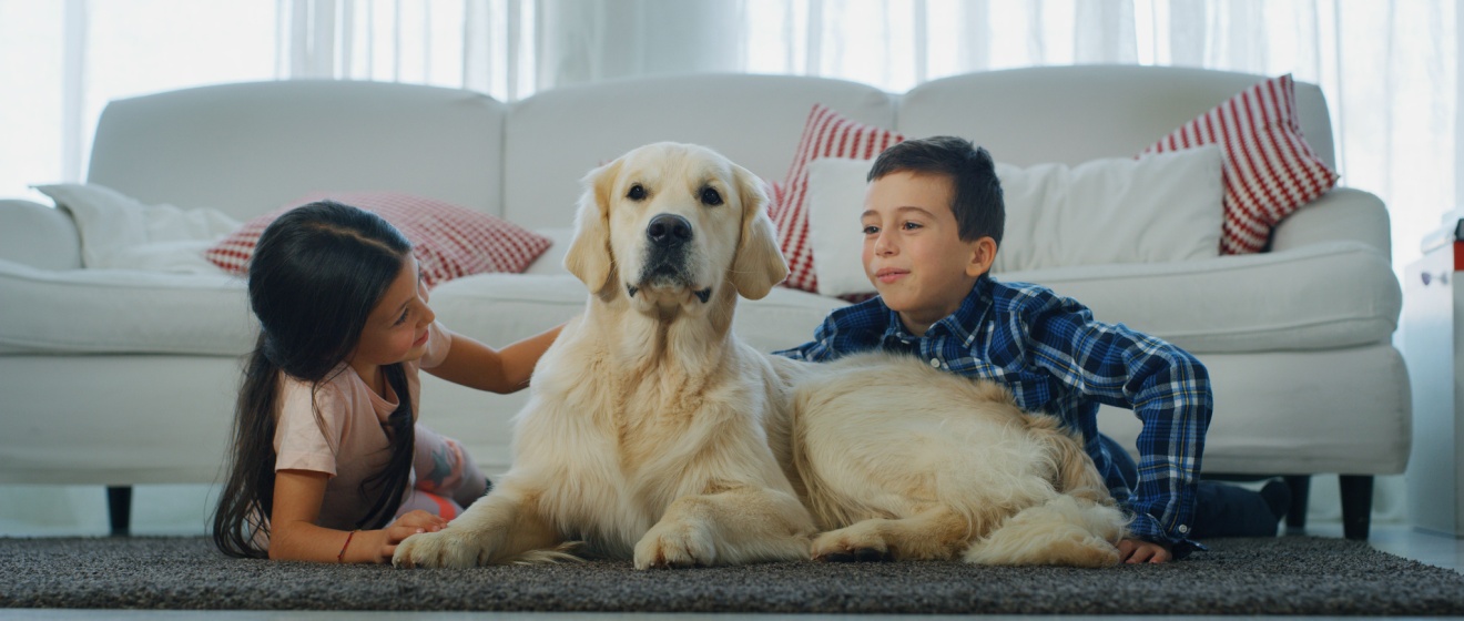 Are Pest Control Treatments Safe for Kids and Pets in Boise?
