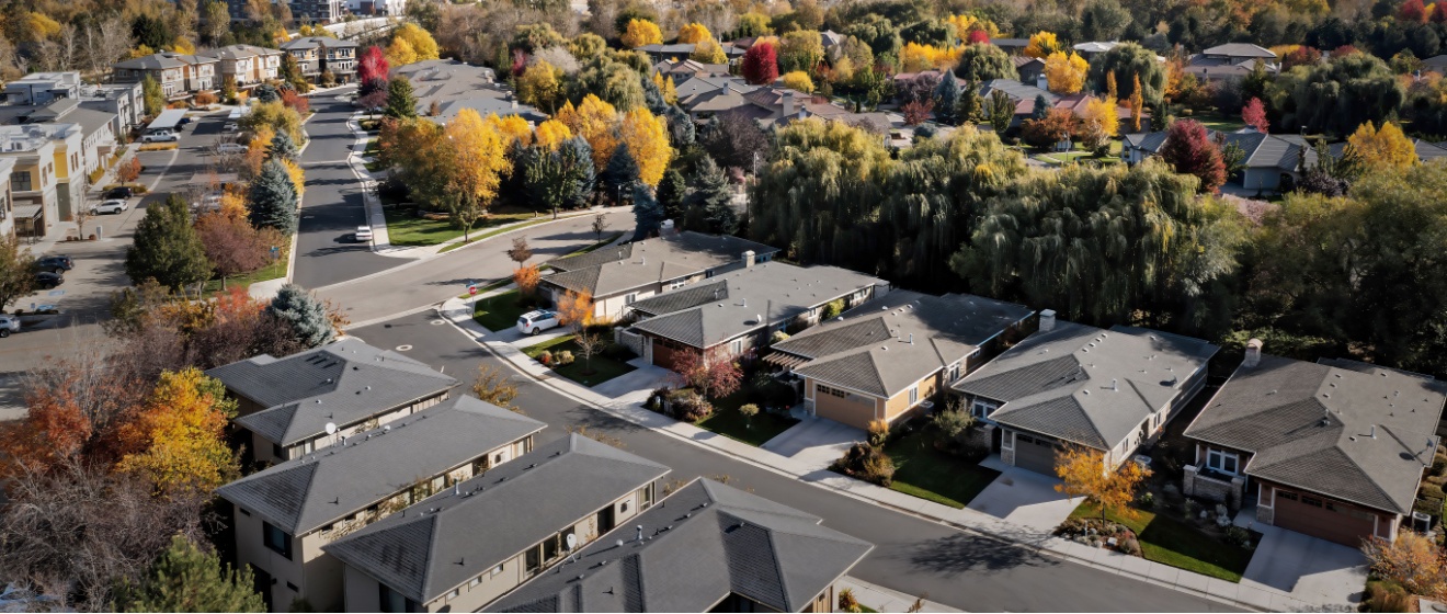 Do I Really Need Pest Control in Boise, ID—Or Can I Handle It Myself?