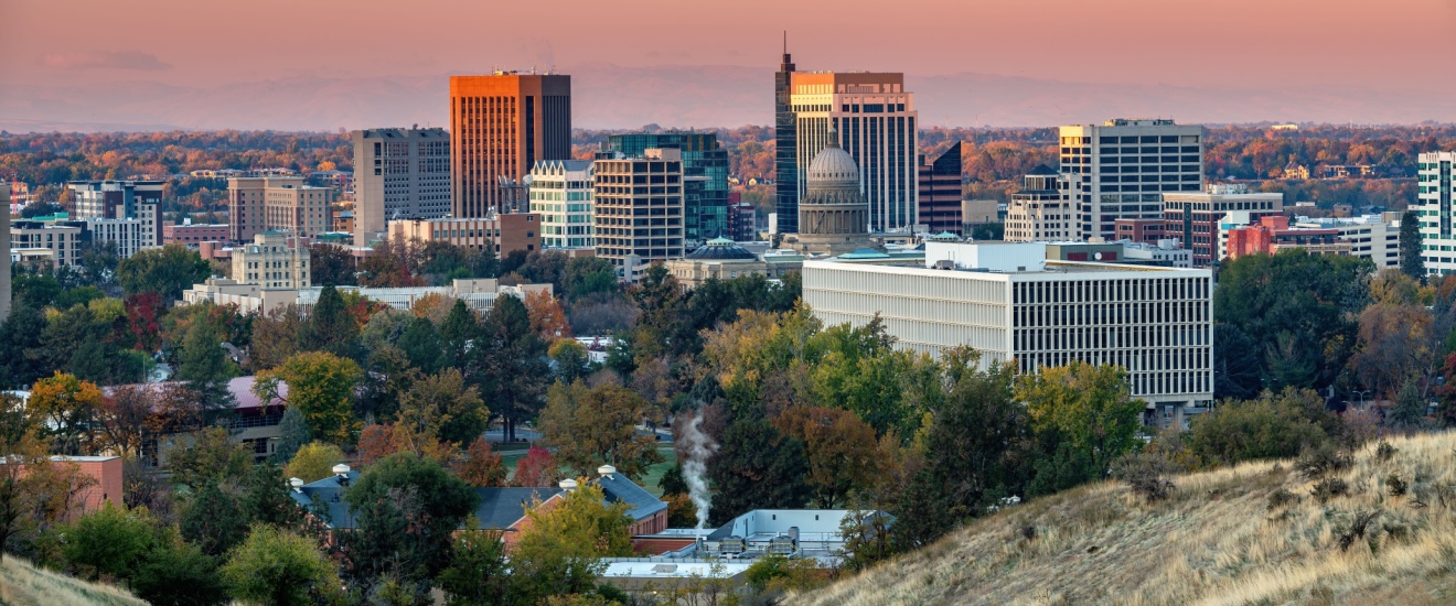 How Much Does Pest Control Cost in Boise, ID? (2026 Pricing Guide)