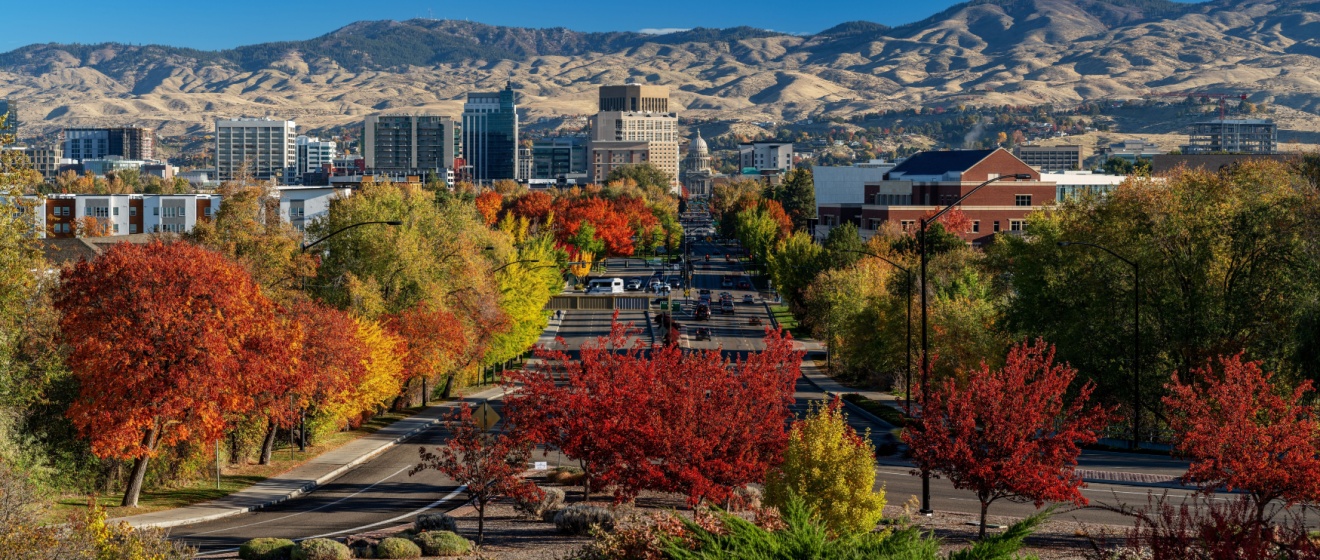 Best Pest Control Company in Boise, ID: What Homeowners Should Look For